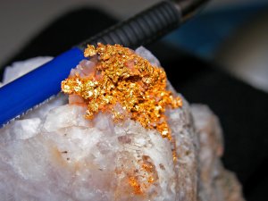 Gold from the St Ives Gold Mine, Western Australia